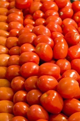 Tomato